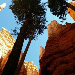 Meet your Posher, Hailey